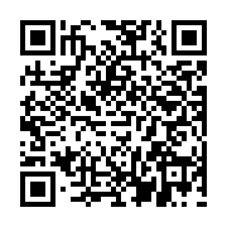 QR code for UPA7481