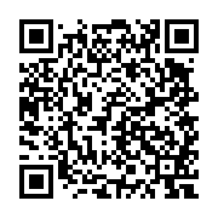 QR code for UPG481