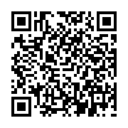 QR code for UPI4913