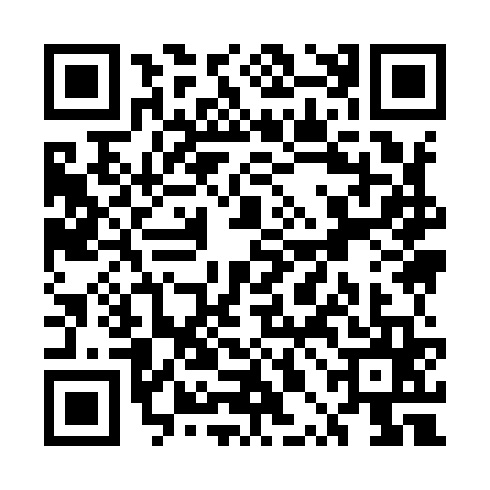 QR code for UPI9653