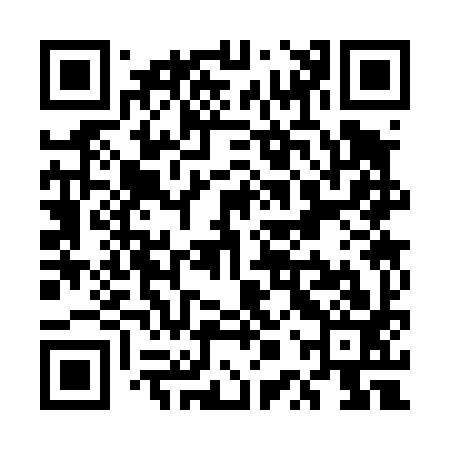 QR code for UPS493