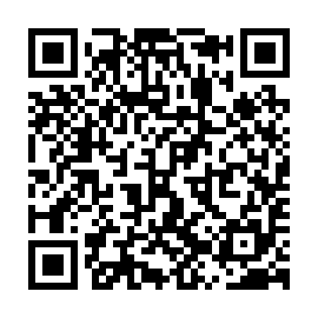 QR code for UZS295