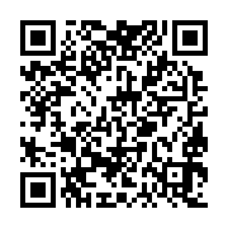 QR code for VBG393