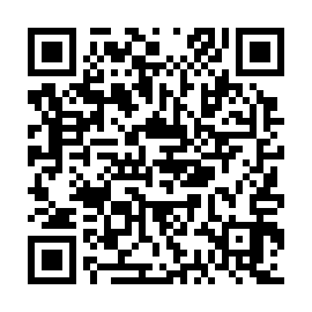QR code for VCD313