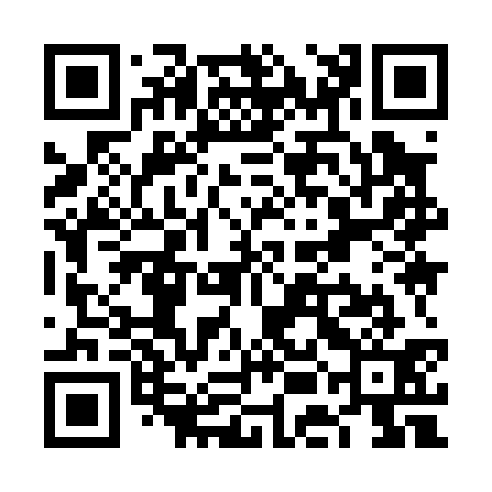 QR code for VEI031