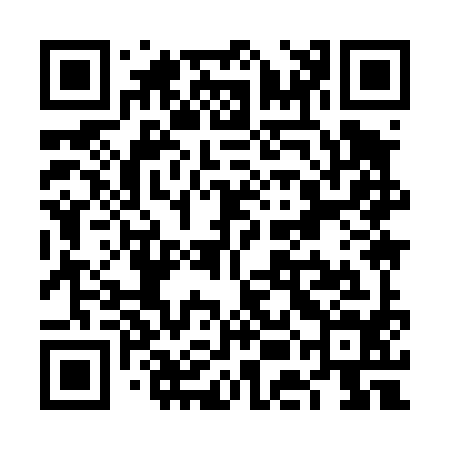 QR code for VEI494
