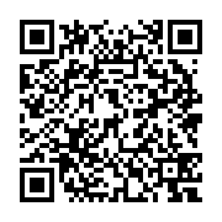 QR code for VEM2393