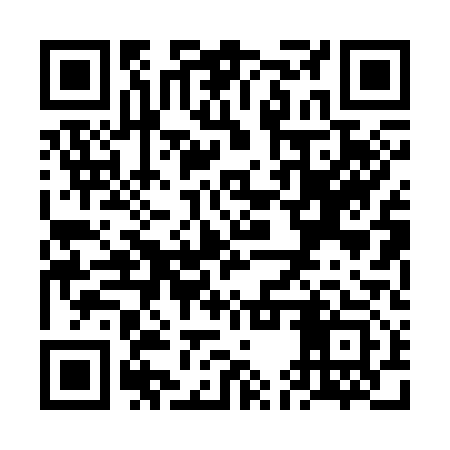 QR code for VEP313