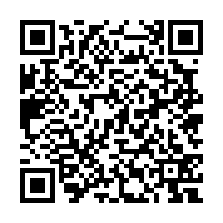 QR code for VEU0333