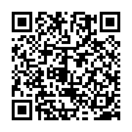 QR code for VFB0313