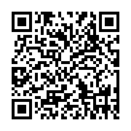 QR code for VFC538