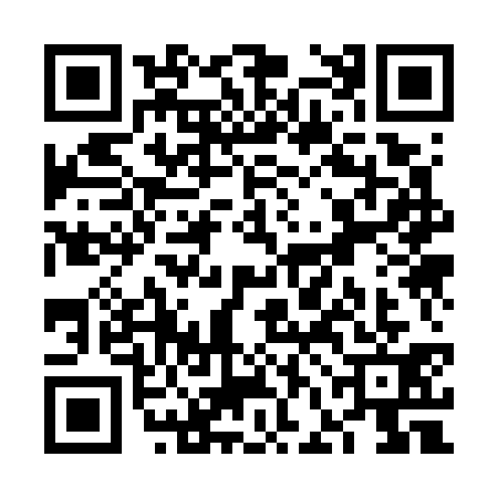 QR code for VFK7313