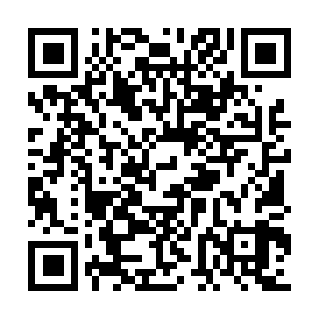 QR code for VFM409