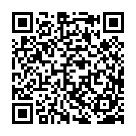 QR code for VFP065