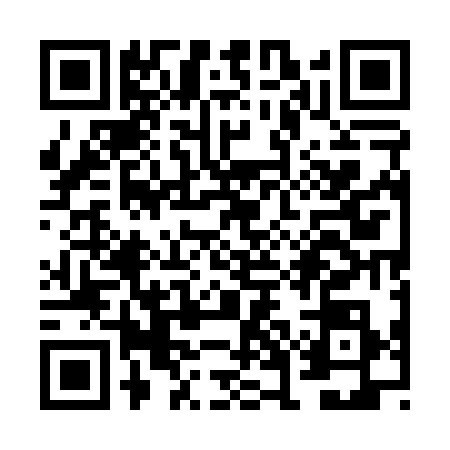 QR code for VGE0382