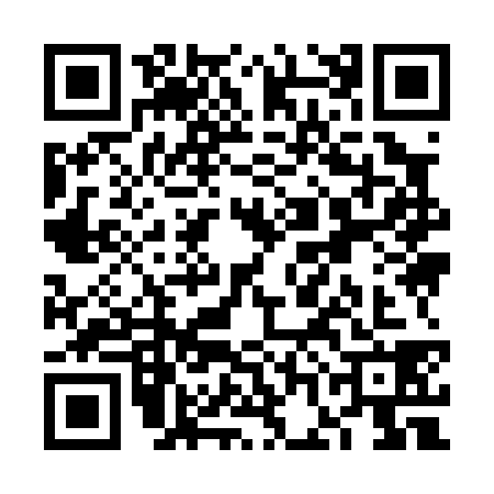 QR code for VGI0383