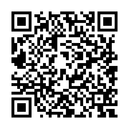 QR code for VGN9163
