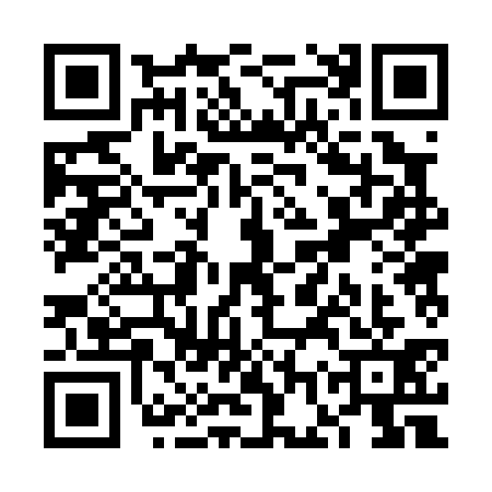 QR code for VGR0313