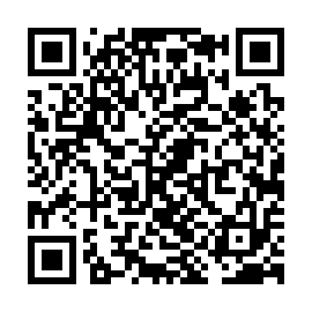 QR code for VID313