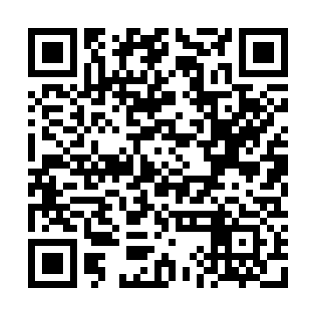 QR code for VIL333