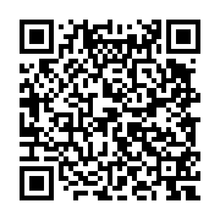 QR code for VIL450