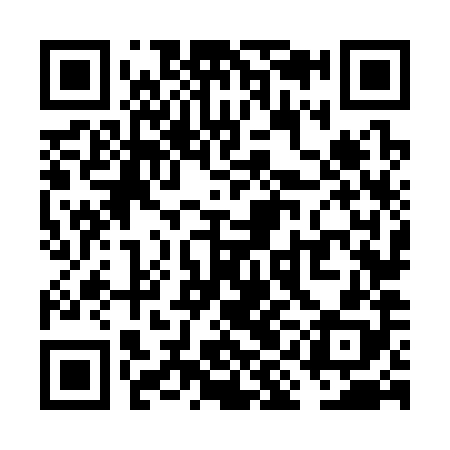 QR code for VIN388