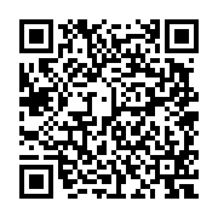 QR code for VIO4957