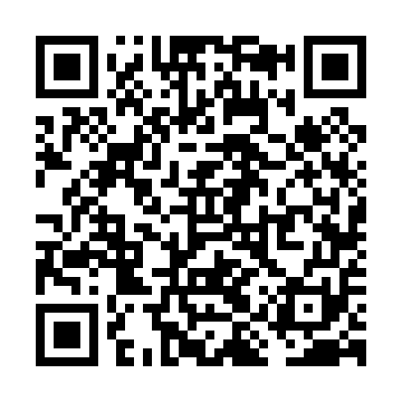 QR code for VIV051