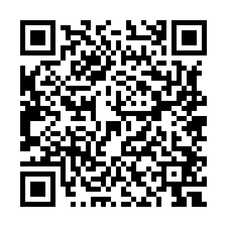 QR code for VIZ8425