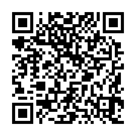 QR code for VJI383
