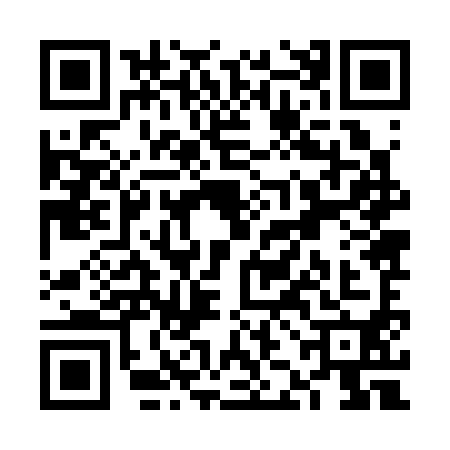 QR code for VJJ3903