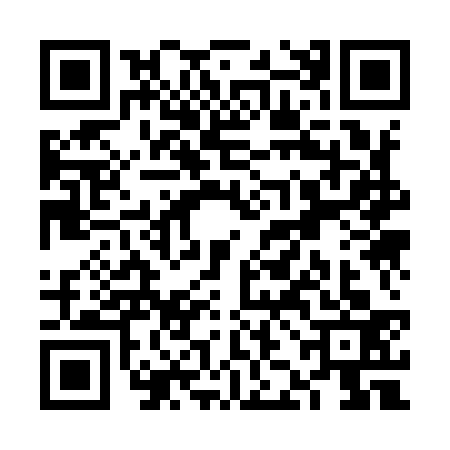 QR code for VJK9333