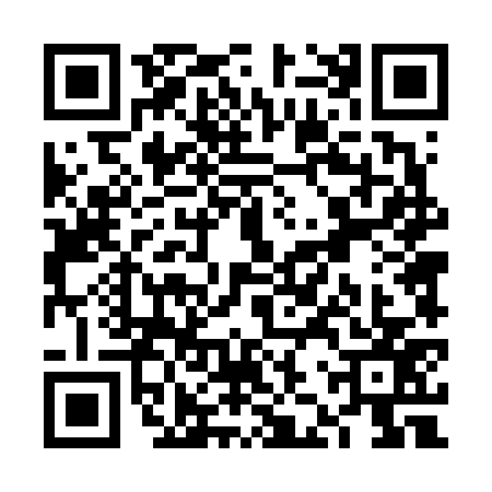 QR code for VJT6771