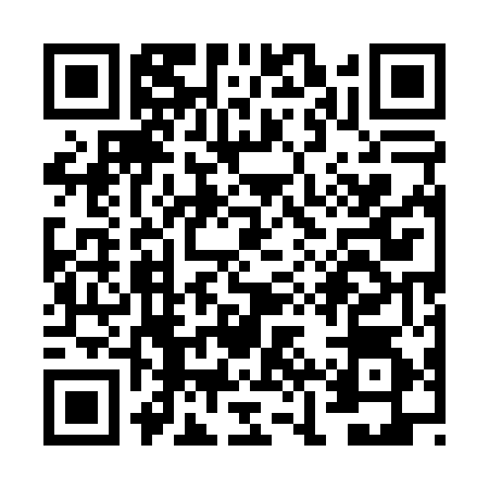 QR code for VJU0541