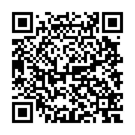 QR code for VLN029