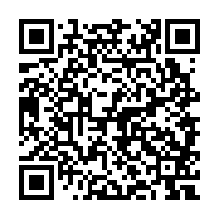 QR code for VLN383