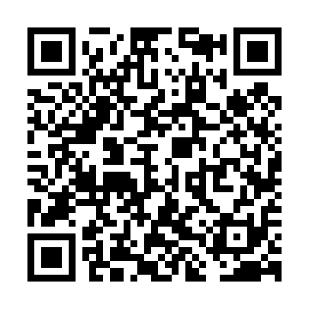 QR code for VLV411