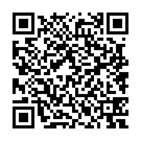 QR code for VMN0384