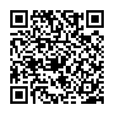QR code for VMV5317