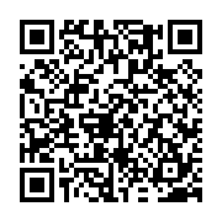 QR code for VNV0343