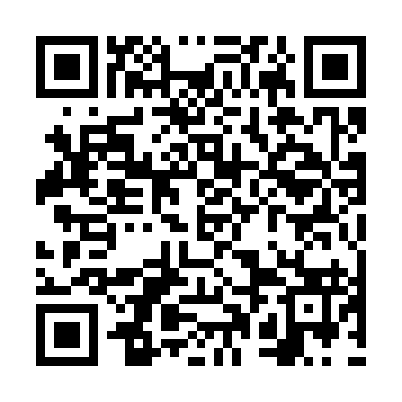 QR code for VPA393
