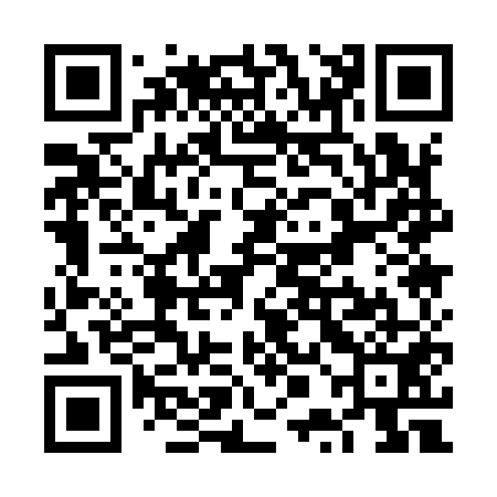 QR code for VPA951