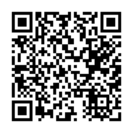 QR code for VPU381