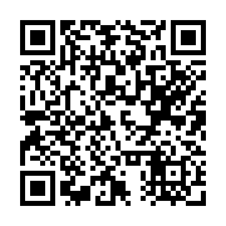 QR code for VPX338