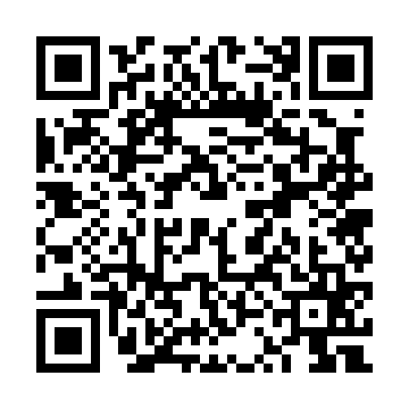 QR code for VSG0650