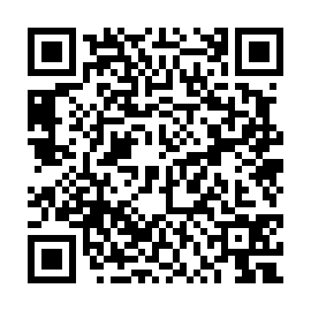 QR code for VVO4341