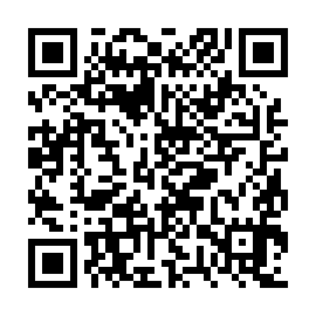 QR code for VWS095