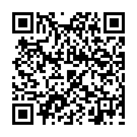 QR code for VYE665