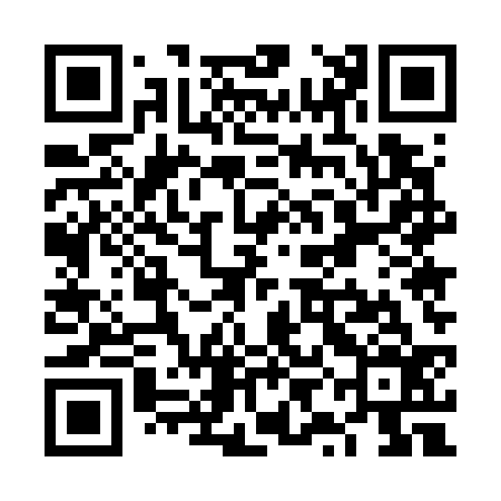 QR code for VYE736