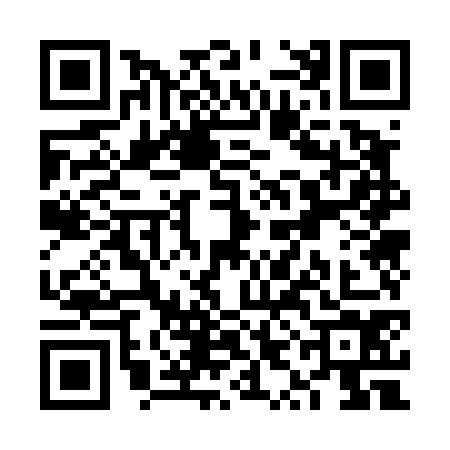QR code for VYO4749